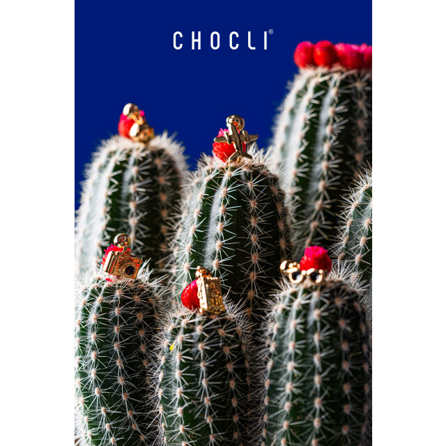 Chocli 18 Ayar Altın Kaplama Charm - U&ccedil;ak