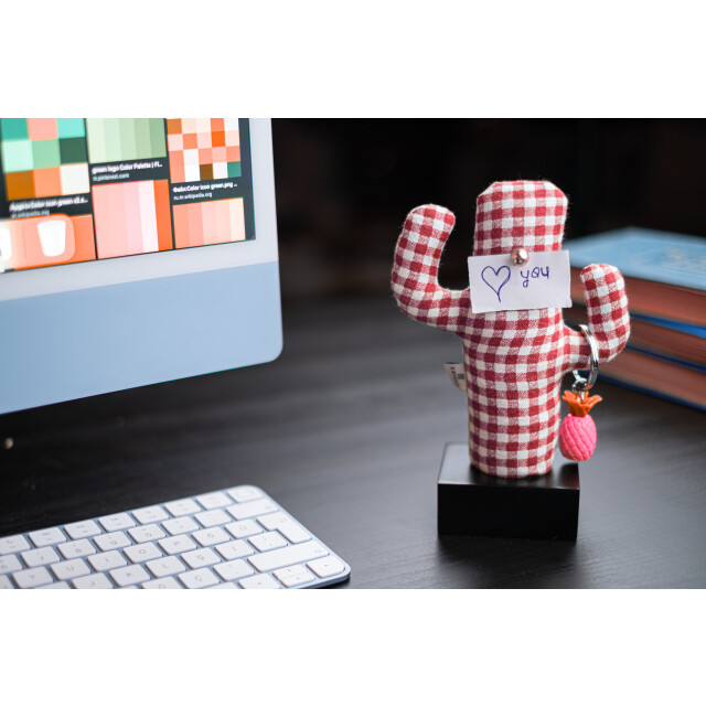 Kayigo Cactus Lavanta Dolgulu Notluk / Pötikareli - Siyah