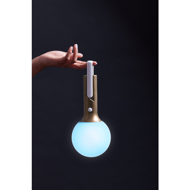 Lexon Bolla + Led Lamba