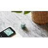 Lexon Mino + Bluetooth  Hoparlör Mint