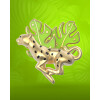 Metalmorphose Leopar & Tropikal Yaprak Broş Seti