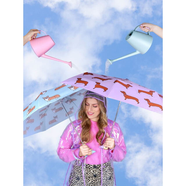 Original Duckhead Duck Kompakt Şemsiye Corgi Mint Compact